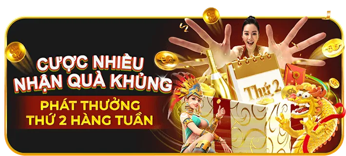 Bắt đầu săn cá và nhận thưởng