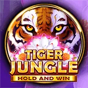 Lựa chọn game và đặt cược